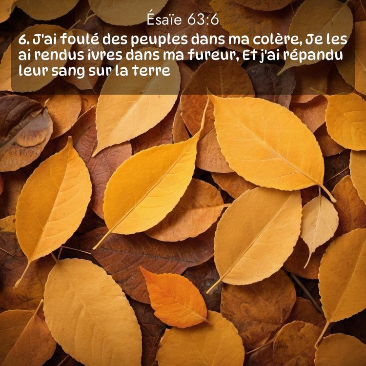 Segond Ésaïe 63:6