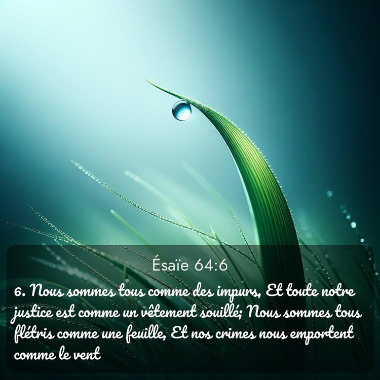 Segond Ésaïe 64:6