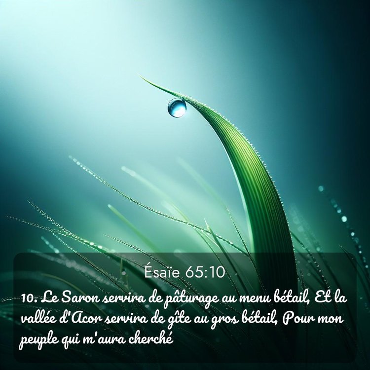 Segond Ésaïe 65:10