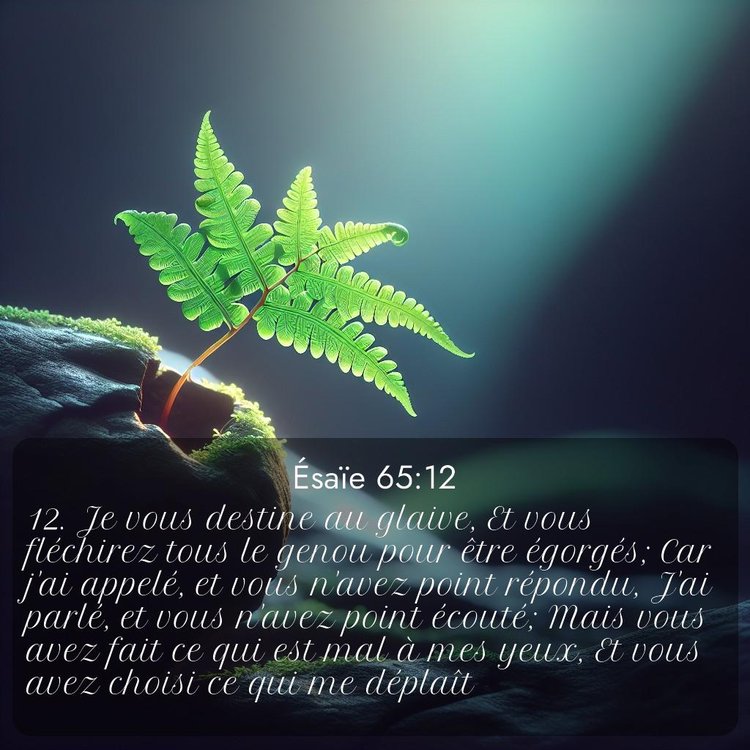 Segond Ésaïe 65:12