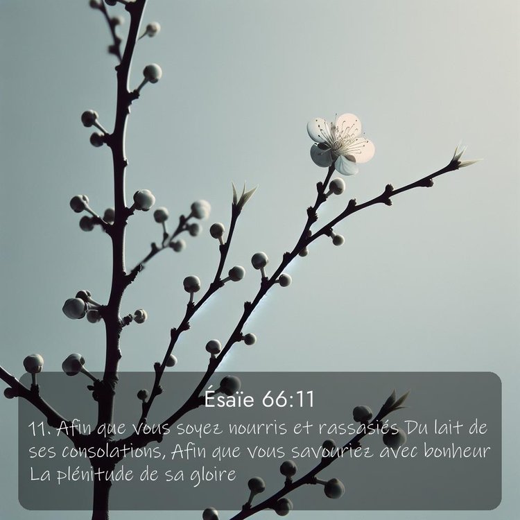 Segond Ésaïe 66:11