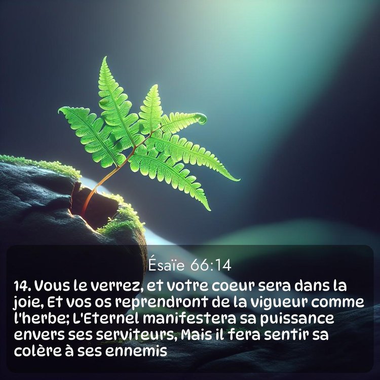 Segond Ésaïe 66:14