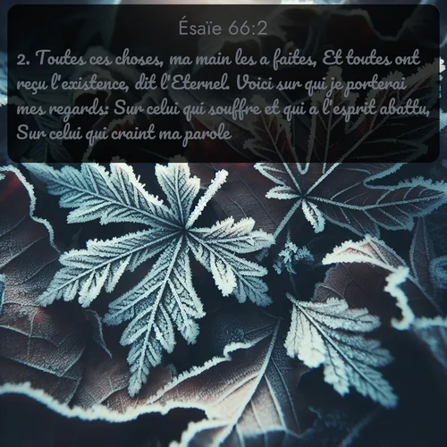 Segond Ésaïe  ; image nature: image avec le verset biblique :Toutes ces choses, ma main les a faites, Et toutes ont reçu l&#039;existence, dit l&#039;Eternel. Voici sur qui je porterai mes regards: Sur celui qui souffre et qui a l&#039;esprit abattu, Sur celui qui craint ma parole. ;  ; 66:2
