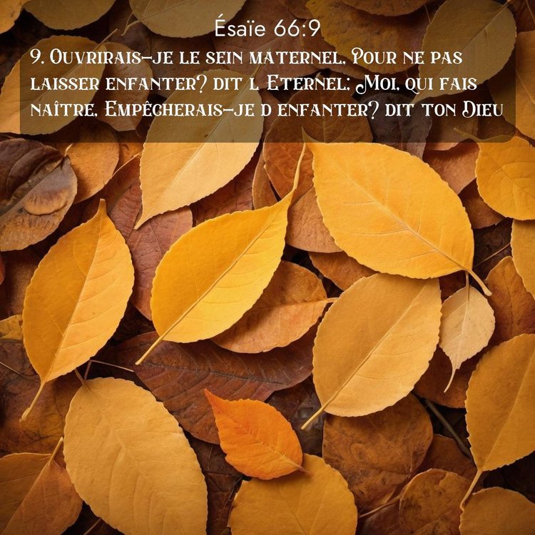 Segond Ésaïe 66:9