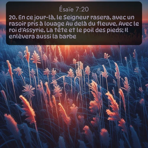 Segond Ésaïe  ; image nature: image avec le verset biblique :En ce jour-là, le Seigneur rasera, avec un rasoir pris à louage Au delà du fleuve, Avec le roi d&#039;Assyrie, La tête et le poil des pieds; Il enlèvera aussi la barbe. ;  ; 7:20