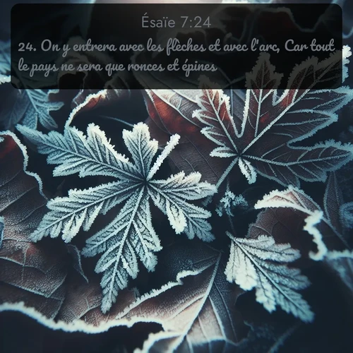 Segond Ésaïe  ; image nature: image avec le verset biblique :On y entrera avec les flèches et avec l&#039;arc, Car tout le pays ne sera que ronces et épines. ;  ; 7:24
