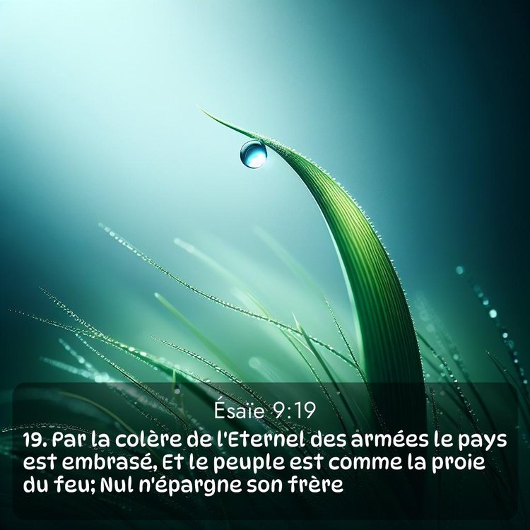 Segond Ésaïe 9:19