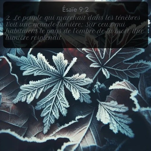 Segond Ésaïe  ; image nature: image avec le verset biblique :Le peuple qui marchait dans les ténèbres Voit une grande lumière; Sur ceux qui habitaient le pays de l&#039;ombre de la mort Une lumière resplendit. ;  ; 9:2
