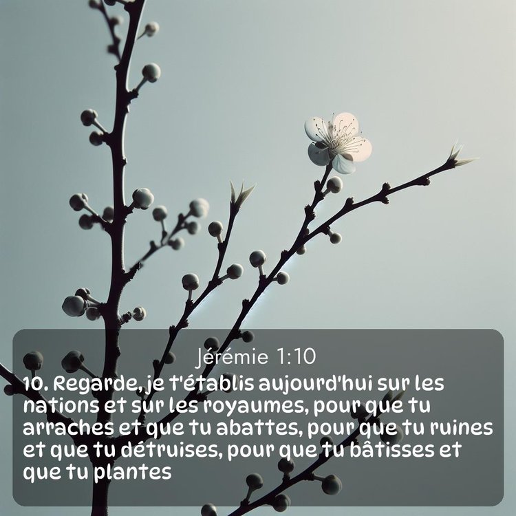 Segond Jérémie 1:10