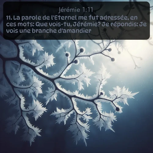 Segond Jérémie  ; image nature: image avec le verset biblique :La parole de l&#039;Eternel me fut adressée, en ces mots: Que vois-tu, Jérémie? Je répondis: Je vois une branche d&#039;amandier. ;  ; 1:11