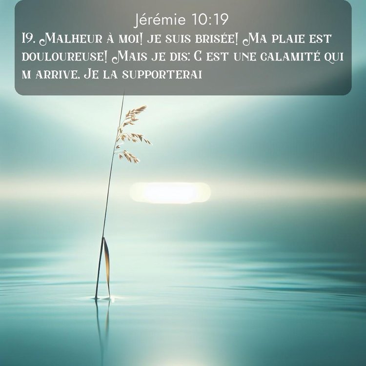 Segond Jérémie 10:19