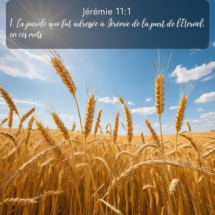 Segond Jérémie 11:1