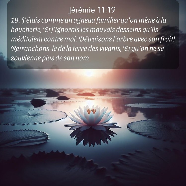 Segond Jérémie 11:19