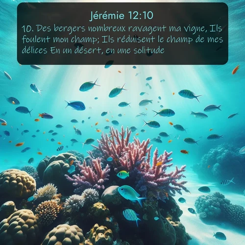 Segond Jérémie  ; image nature: image avec le verset biblique :Des bergers nombreux ravagent ma vigne, Ils foulent mon champ; Ils réduisent le champ de mes délices En un désert, en une solitude. ;  ; 12:10