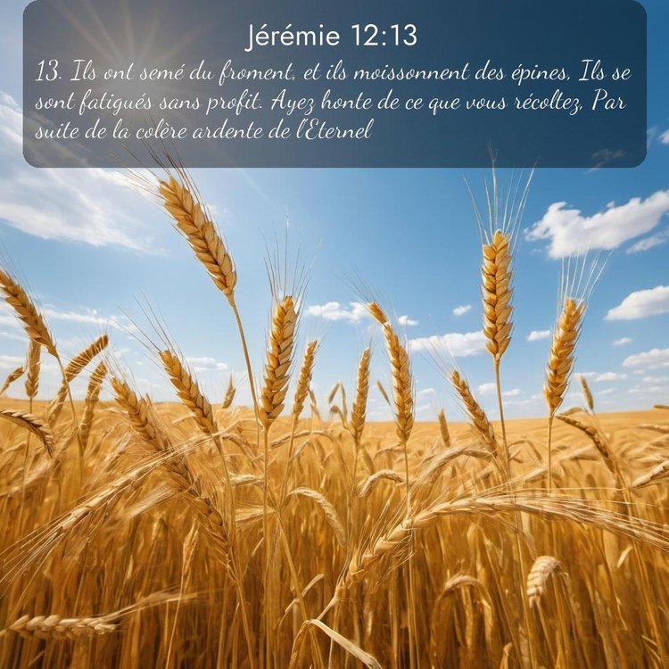 image nature avec verset biblique de la Bible