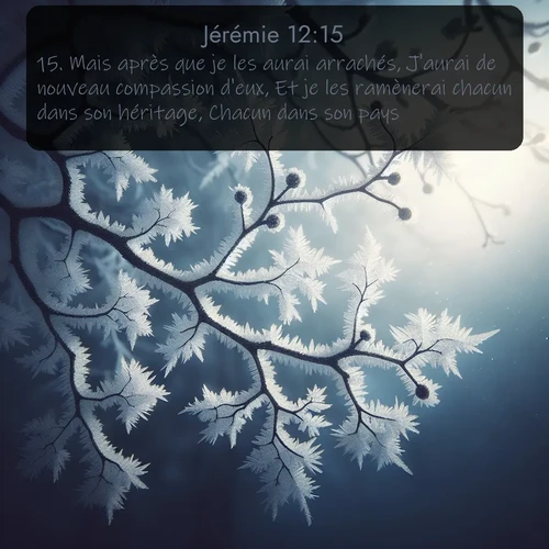 Segond Jérémie  ; image nature: image avec le verset biblique :Mais après que je les aurai arrachés, J&#039;aurai de nouveau compassion d&#039;eux, Et je les ramènerai chacun dans son héritage, Chacun dans son pays. ;  ; 12:15