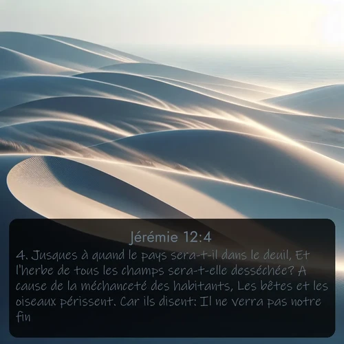 Segond Jérémie  ; image nature: image avec le verset biblique :Jusques à quand le pays sera-t-il dans le deuil, Et l&#039;herbe de tous les champs sera-t-elle desséchée? A cause de la méchanceté des habitants, Les bêtes et les oiseaux périssent. Car ils disent: Il ne verra pas notre fin. - ;  ; 12:4