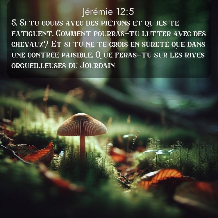 Segond Jérémie 12:5