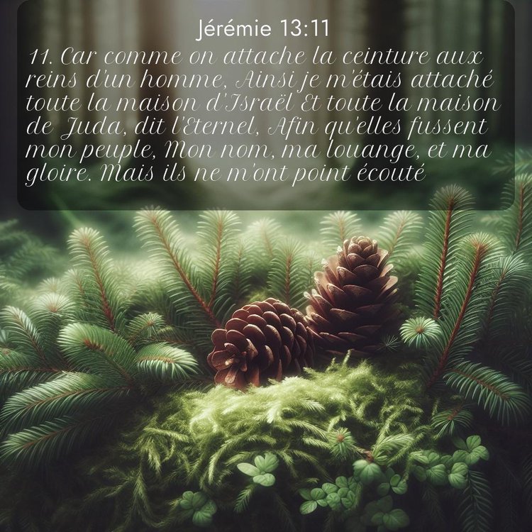 Segond Jérémie 13:11