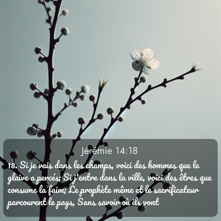 image nature avec verset biblique de la Bible