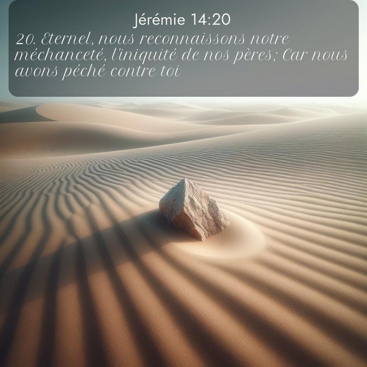 Segond Jérémie 14:20