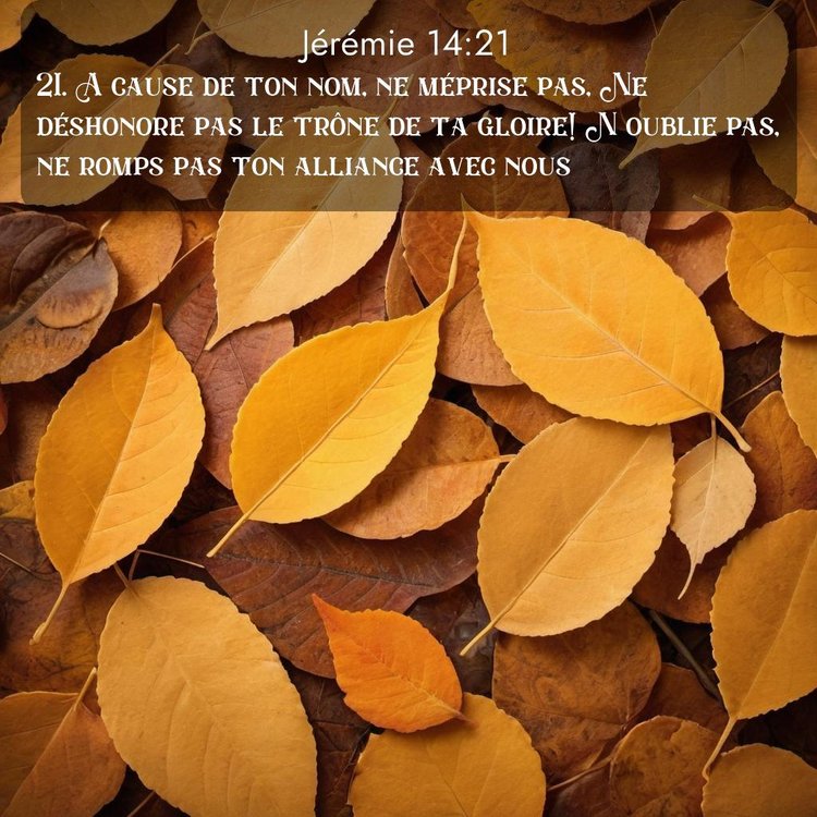 Segond Jérémie 14:21