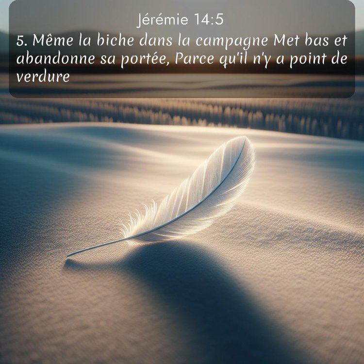 image nature avec verset biblique de la Bible
