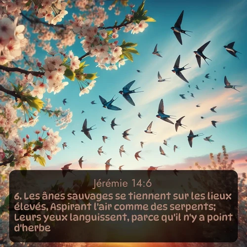 Segond Jérémie  ; image nature: image avec le verset biblique :Les ânes sauvages se tiennent sur les lieux élevés, Aspirant l&#039;air comme des serpents; Leurs yeux languissent, parce qu&#039;il n&#039;y a point d&#039;herbe. ;  ; 14:6