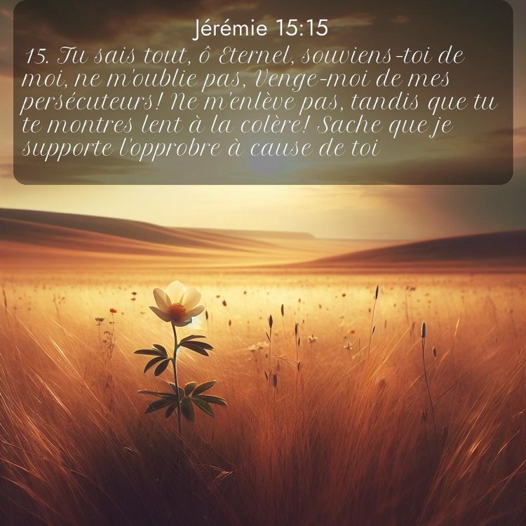 Segond Jérémie 15:15