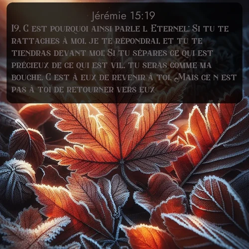 Segond Jérémie  ; image nature: image avec le verset biblique :C&#039;est pourquoi ainsi parle l&#039;Eternel: Si tu te rattaches à moi, je te répondrai, et tu te tiendras devant moi; Si tu sépares ce qui est précieux de ce qui est vil, tu seras comme ma bouche. C&#039;est à eux de revenir à toi, Mais ce n&#039;est pas à toi de retourner vers eux. ;  ; 15:19
