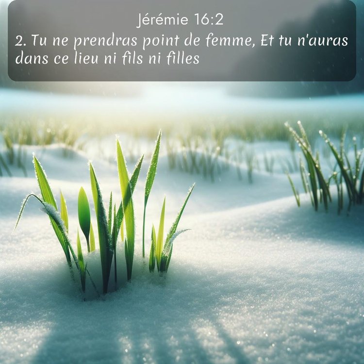 Segond Jérémie 16:2