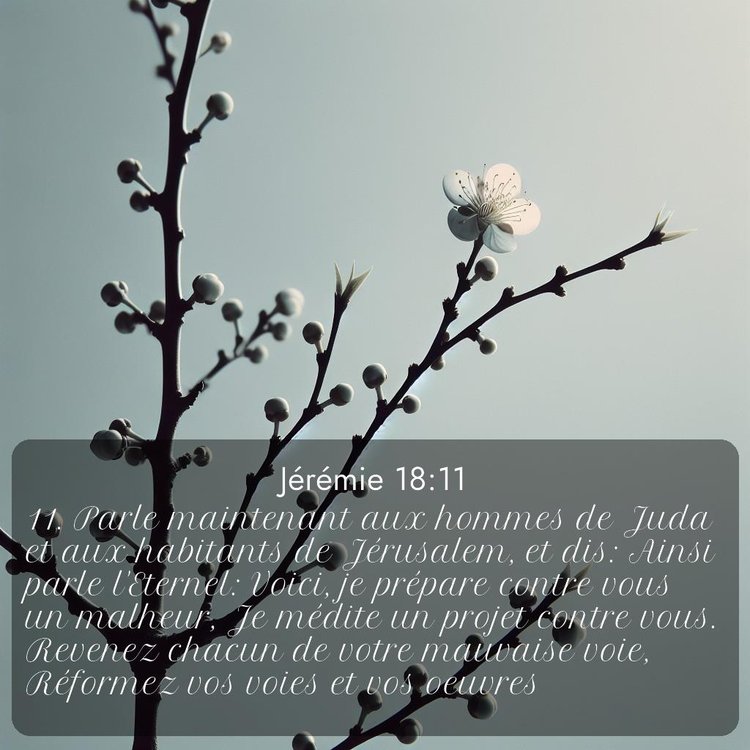 Segond Jérémie 18:11