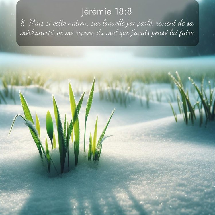 Segond Jérémie 18:8