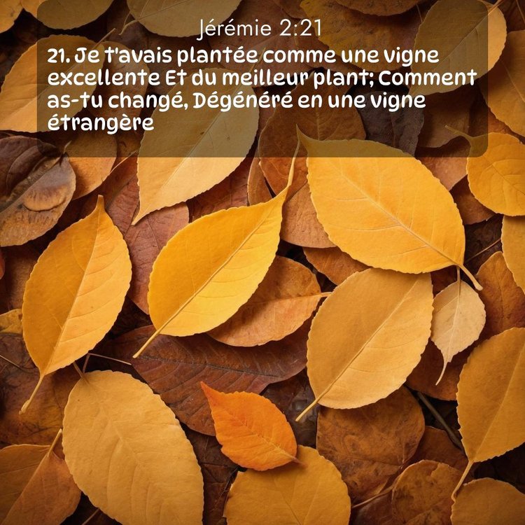 Segond Jérémie 2:21