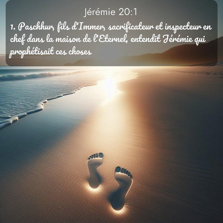 Segond Jérémie 20:1