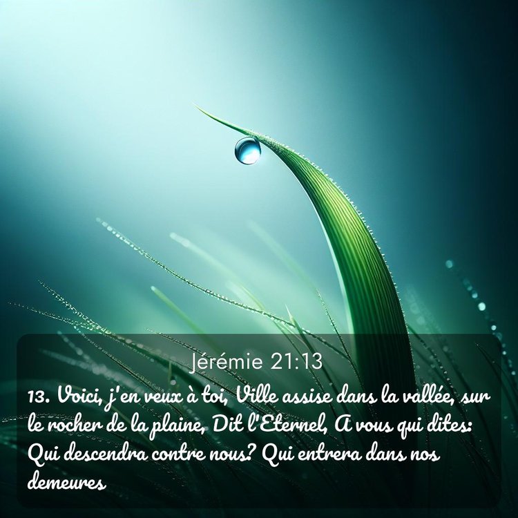 Segond Jérémie 21:13