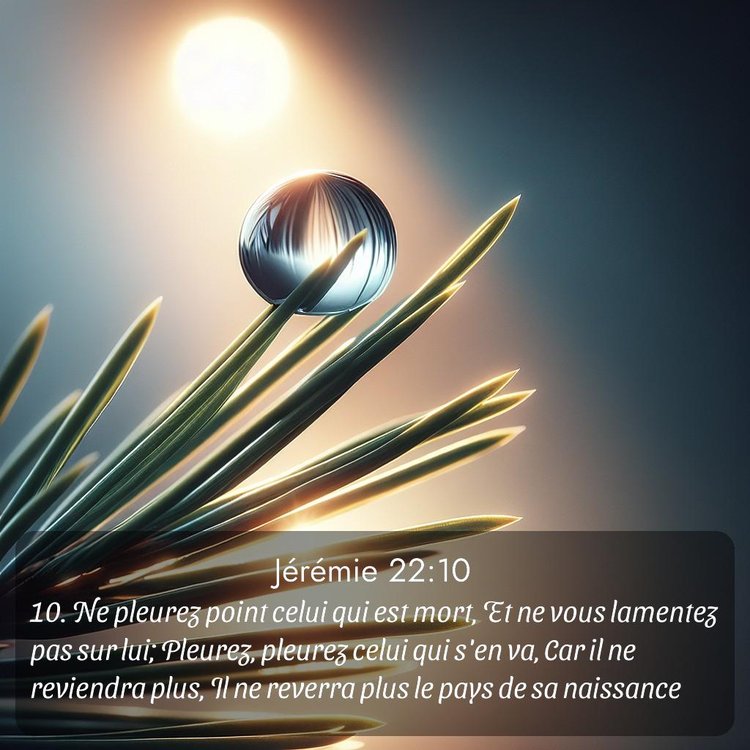 Segond Jérémie 22:10