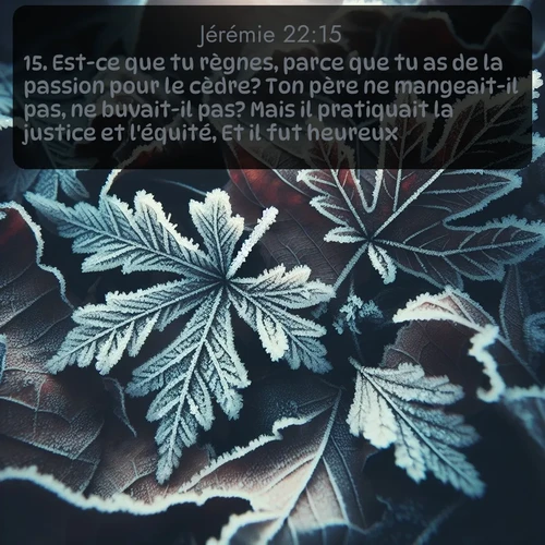 Segond Jérémie  ; image nature: image avec le verset biblique :Est-ce que tu règnes, parce que tu as de la passion pour le cèdre? Ton père ne mangeait-il pas, ne buvait-il pas? Mais il pratiquait la justice et l&#039;équité, Et il fut heureux; ;  ; 22:15