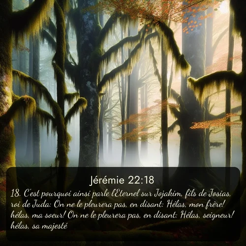Segond Jérémie  ; image nature: image avec le verset biblique :C&#039;est pourquoi ainsi parle l&#039;Eternel sur Jojakim, fils de Josias, roi de Juda: On ne le pleurera pas, en disant: Hélas, mon frère! hélas, ma soeur! On ne le pleurera pas, en disant: Hélas, seigneur! hélas, sa majesté! ;  ; 22:18