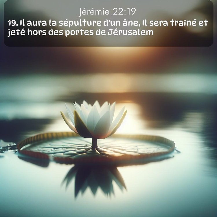 Segond Jérémie 22:19