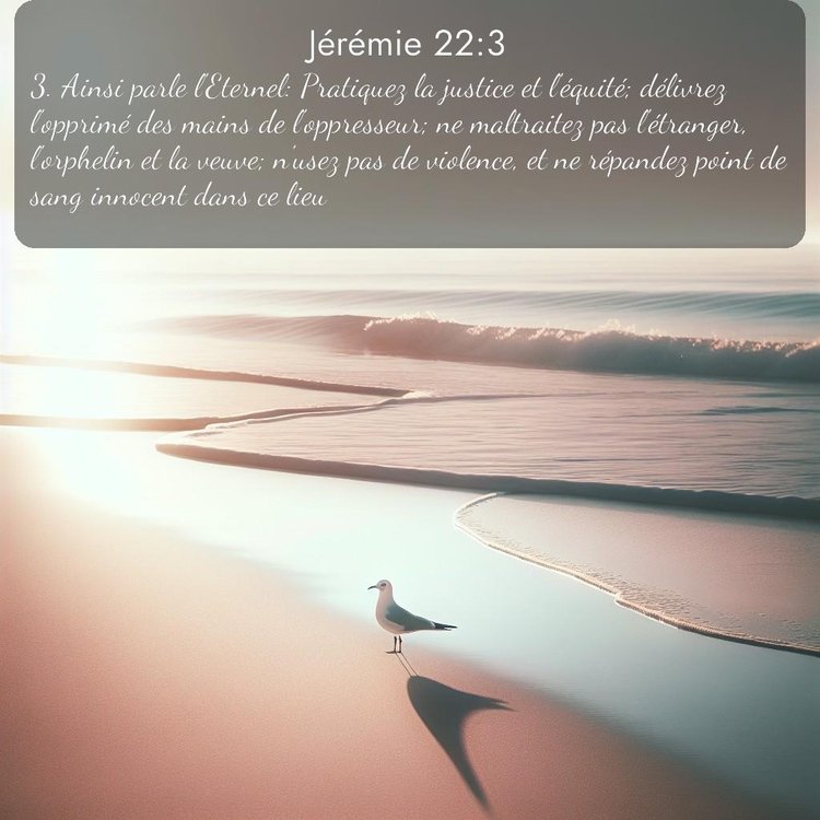 Segond Jérémie 22:3