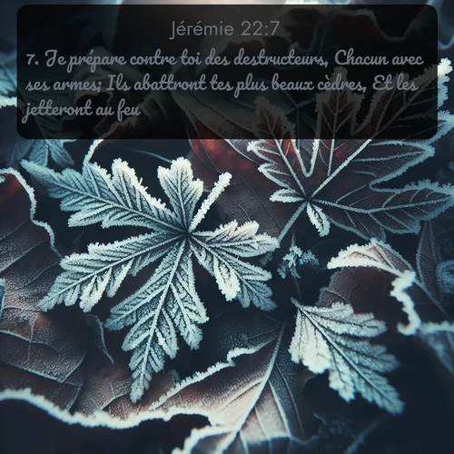 Segond Jérémie  ; image nature: image avec le verset biblique :Je prépare contre toi des destructeurs, Chacun avec ses armes; Ils abattront tes plus beaux cèdres, Et les jetteront au feu. ;  ; 22:7
