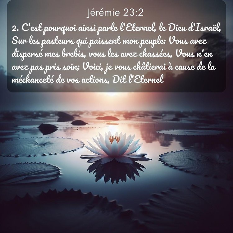 Segond Jérémie 23:2