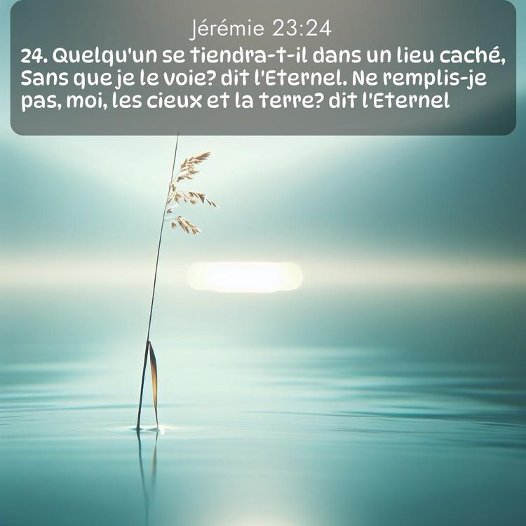 Segond Jérémie 23:24