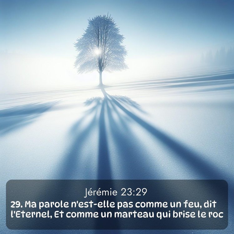 Segond Jérémie 23:29