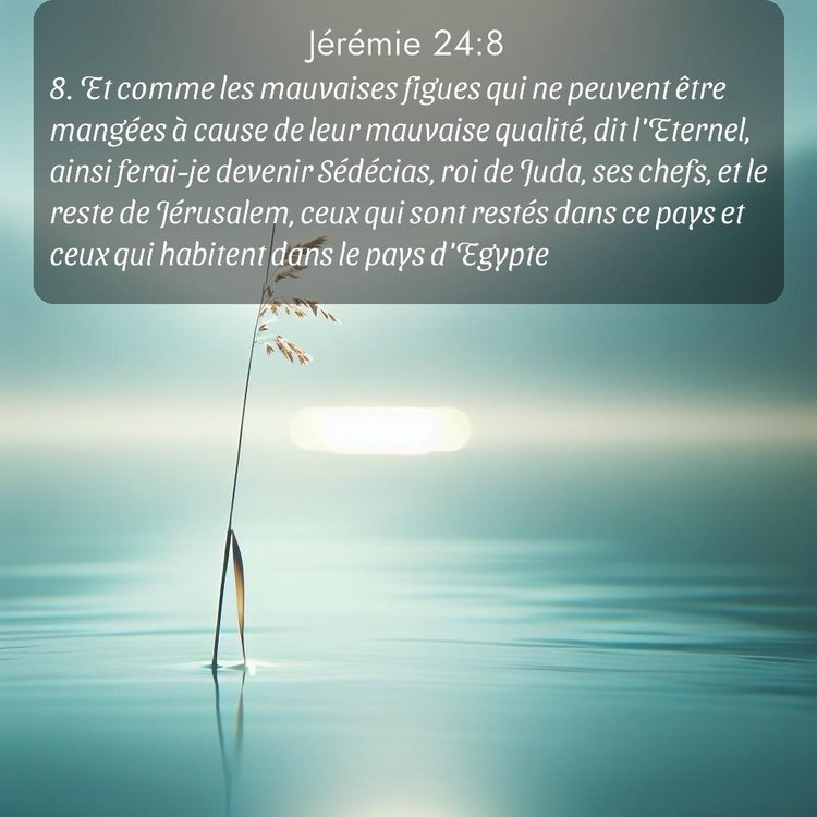 image nature avec verset biblique de la Bible