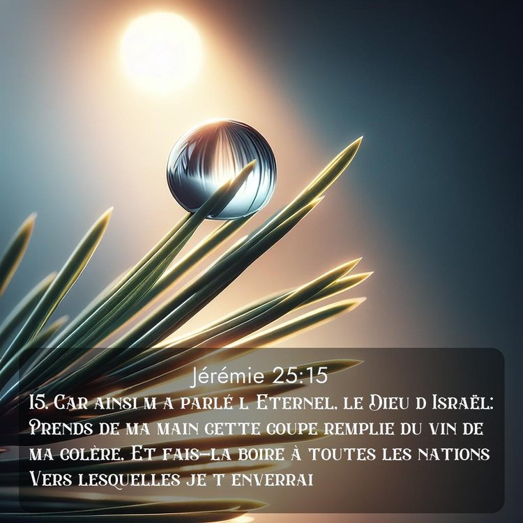 Segond Jérémie 25:15