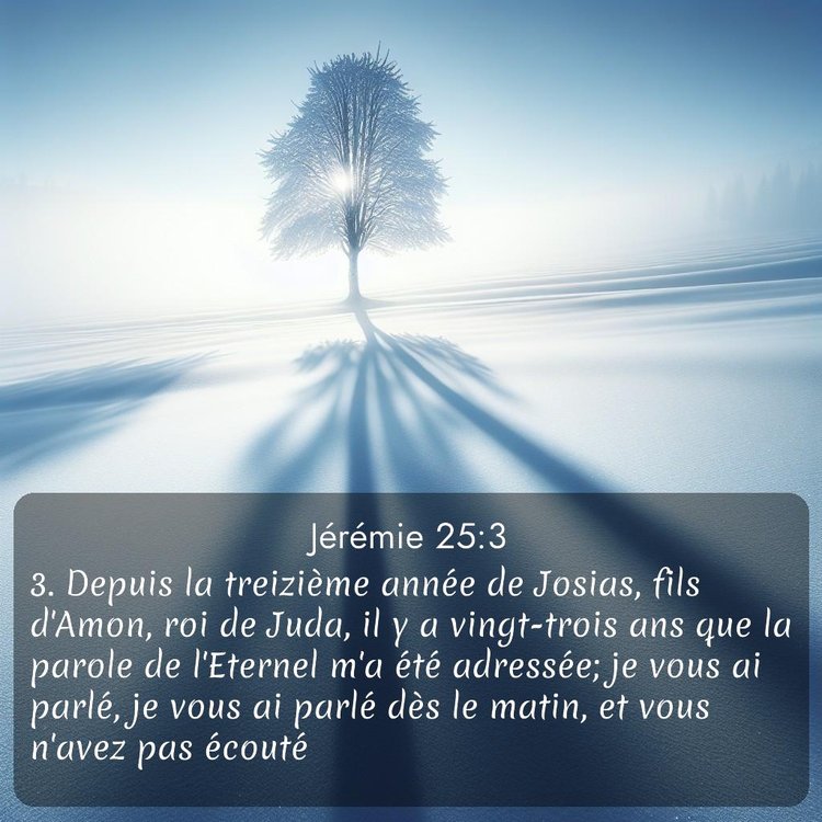 Segond Jérémie 25:3