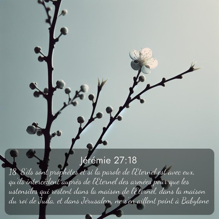 Segond Jérémie 27:18