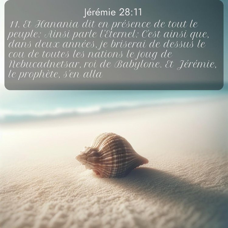 Segond Jérémie 28:11